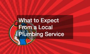 What to Expect From a Local Plumbing Service